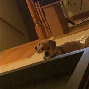 Meet your Posher, Jeremiah